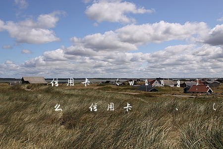 信用卡,網(wǎng)貸欠款太多還不上怎么辦(信用卡、網(wǎng)貸欠款太多,還不上怎么辦?)